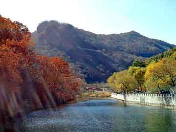 管家婆黑白马报图库，海东物流